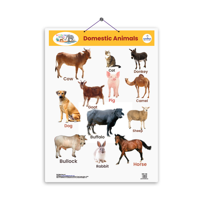 Domestic Animals