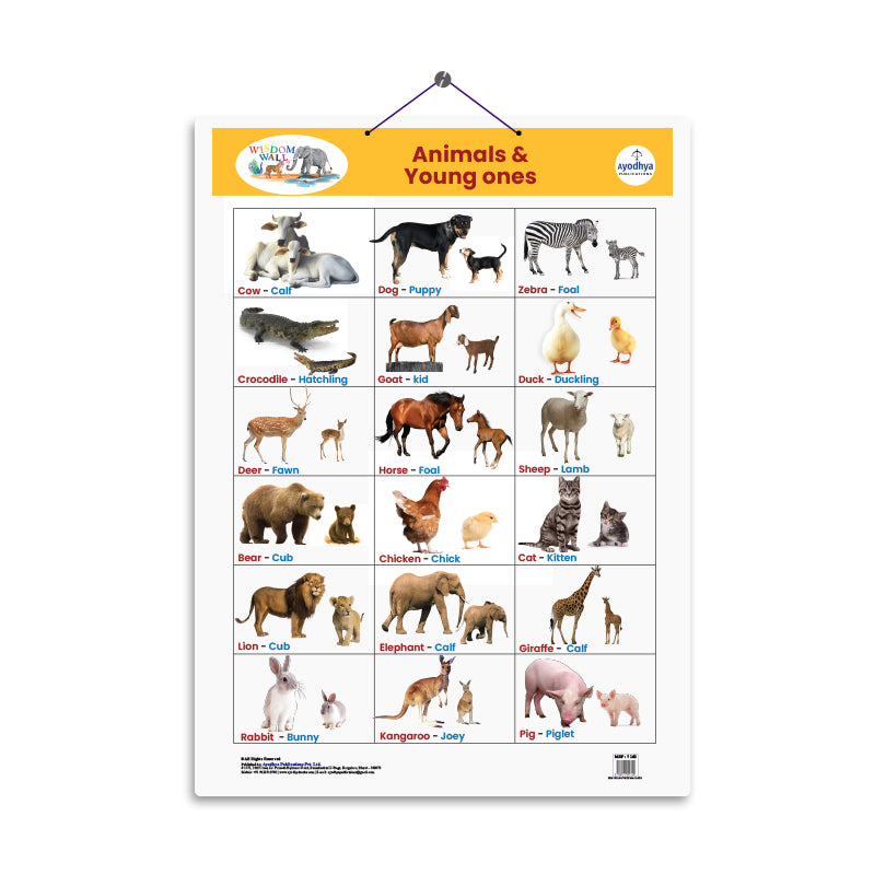 Animals Their Young Ones Ayodhya Books Animals Their Young Ones Ayodhya Books
